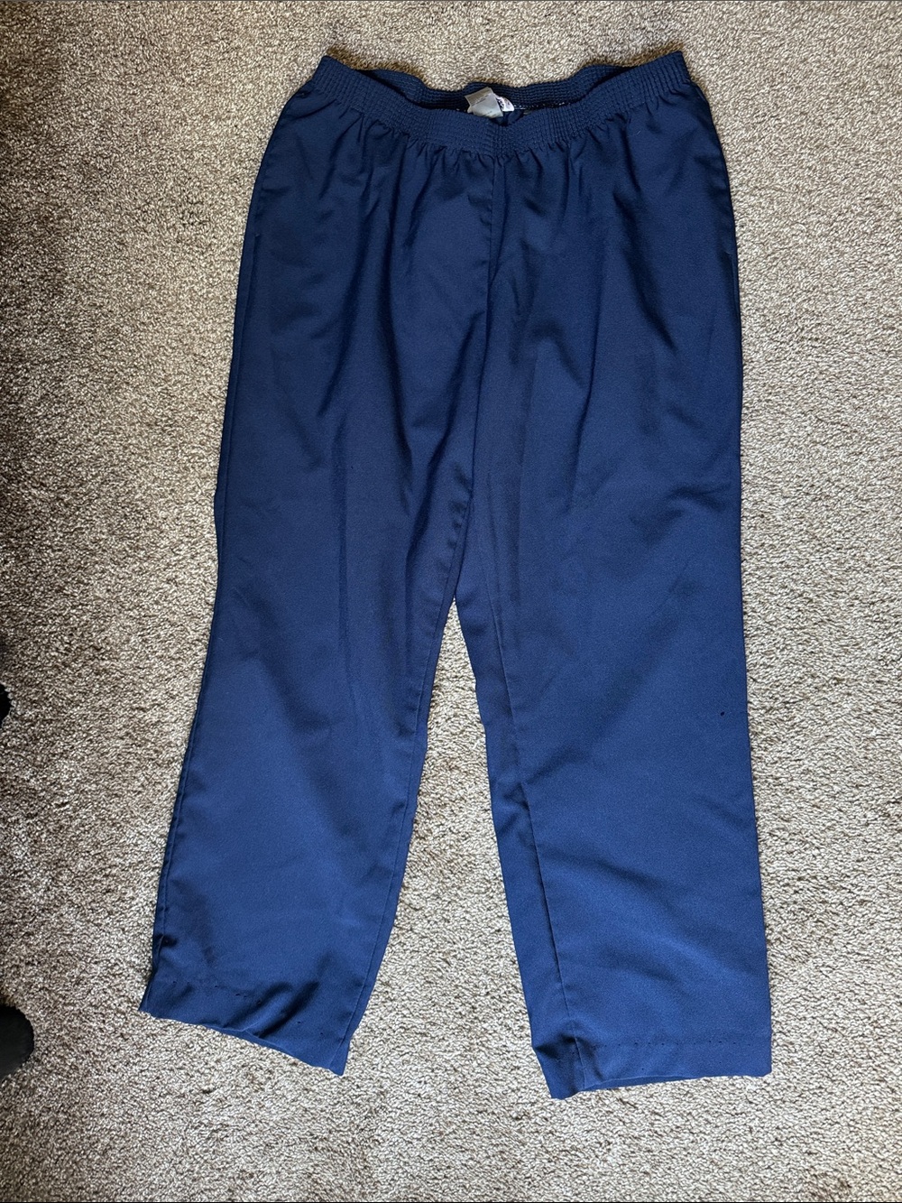 Allison Daley 16W Pants